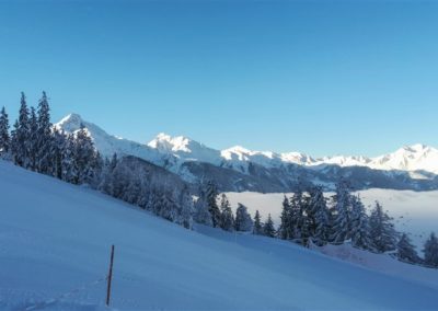 Berggasthaus Kuenzer Alm_Goldried_Matrei in Osttirol_Ausflugsziel